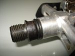 DSC05070.jpg