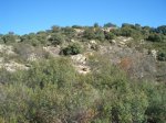 imagen_059.jpg