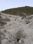 dscn0410.jpg