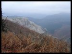 dsc01285.jpg