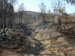 imagen_068_207.jpg