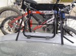 dsc01256__medium_.jpg