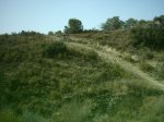 16-7-005_010.jpg