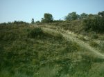 16-7-005_009.jpg