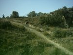 16-7-005_007.jpg