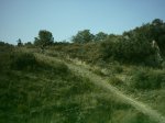 16-7-005_006.jpg