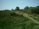 16-7-005_005.jpg