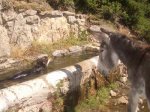 cercekingburro.jpg