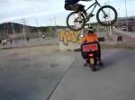 manu bunny moto.JPG