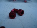 DSC01093 (Medium).JPG