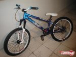 pbpic1211193.jpg