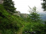 Fresneo-Borones-julio-07-01.jpg