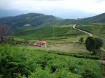 Fresneo-Borones-julio-07-6.jpg