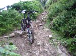 Fresneo-Borones-julio-07-13.jpg