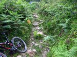 Fresneo-Borones-julio-07-16.jpg