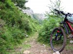 Fresneo-Borones-julio-07-14.jpg