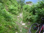 Fresneo-Borones-julio-07-17.jpg