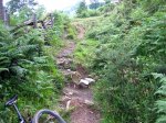 Fresneo-Borones-julio-07-20.jpg