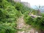 Fresneo-Borones-julio-07-21.jpg