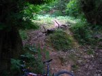 Fresneo-Borones-julio-07-28.jpg