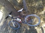 WP_000393.jpg