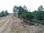 2014-05-22 17.20.26.jpg