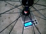 IMG_20140501_125651.jpg