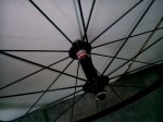 IMG_20140501_130120.jpg