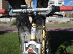 DSC05079.jpg