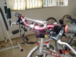 DSC04065.JPG