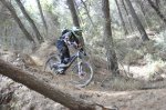 DSC_0783.JPG