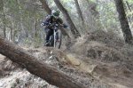 DSC_0780.JPG