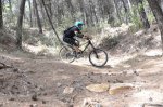 DSC_0779.JPG