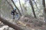 DSC_0774.JPG
