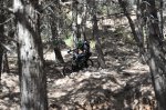 DSC_0316.JPG