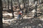 DSC_0311.JPG
