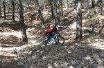 DSC_0312.JPG