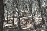 DSC_0309.JPG
