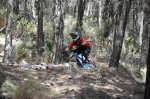 DSC_0336.JPG