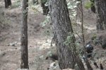 DSC_0741.JPG