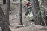 DSC_0742.JPG