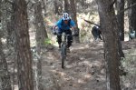 DSC_0542.JPG