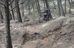 DSC_0395.JPG