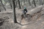 DSC_0398.JPG
