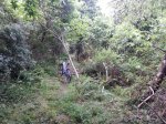 20140524_191537.jpg