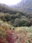 2014-09-13 11.52.04.jpg
