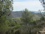IMG_6489.JPG