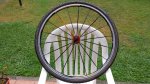 20140913_132714.jpg
