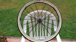 20140913_132955.jpg