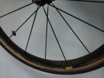 20140914_194802.jpg